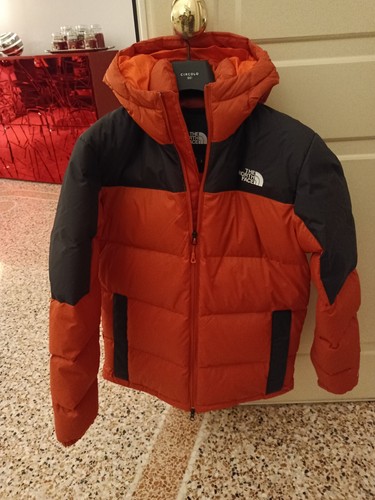 The north face giubbotto - the,
